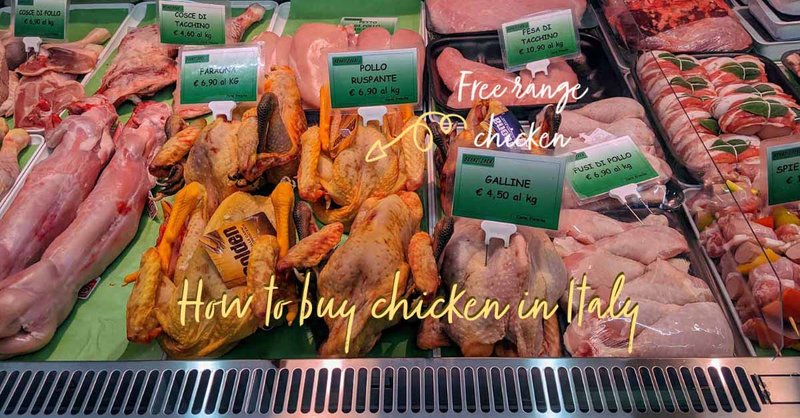 La vera storia della Chicken Road in Italia: un gioco da non perdere - panoramica